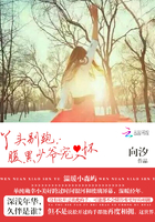 丫头别跑腹黑少爷宠入怀